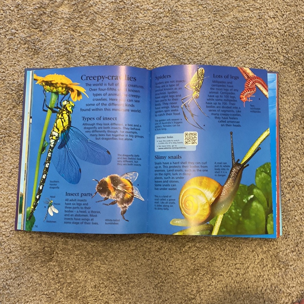 Childrens Encyclopedia 📚 - Picture 4 of 7